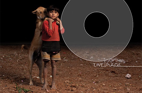 Printing - Photographic Material for Assessments